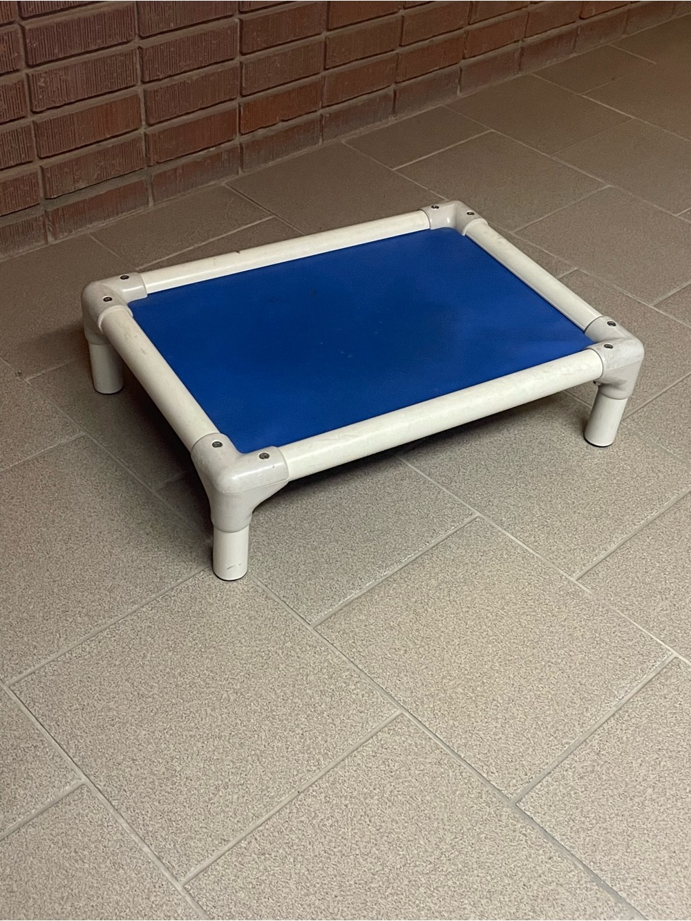 Blue Elevated Pet Bed Platform - White Frame. Great for crate training.
